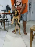 Bolinha 
