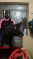 Lola