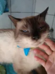 Tom