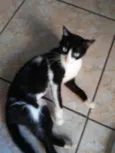 Doçura