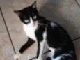 Doçura