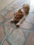 Harvey