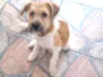 Harvey