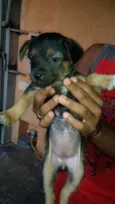 indefinido