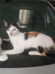 Princesa