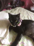 Celina 