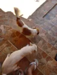 Lupita e lua