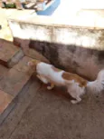 Lupita e lua