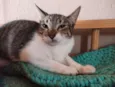 Elba