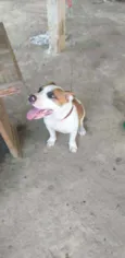 Spaike