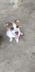 Spaike
