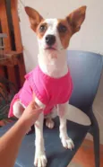Paçoca