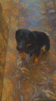 Paçoca