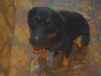 Paçoca
