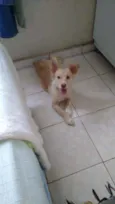 Zoe 