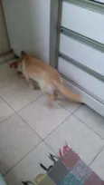 Zoe 