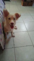 Zoe 