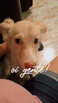 Zoe 