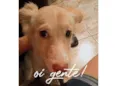Zoe 