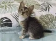 Martina (mamá)