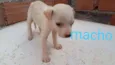 Bebê 