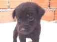 Bebê 