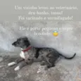 Malhado
