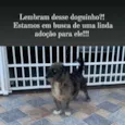 Malhado