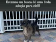 Malhado
