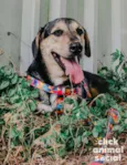 Zeus