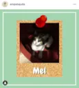 Mel