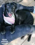 Sandra