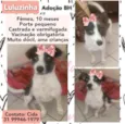 Luluzinha