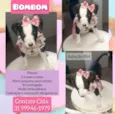 Bombom
