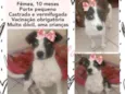 Luluzinha