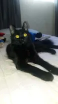 Lua