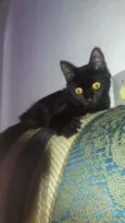 Lua