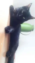 Lua