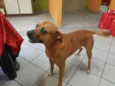 REX