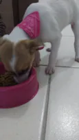Princesa