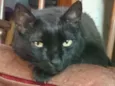Baltazar