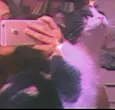sem