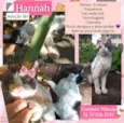 Hanna