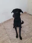 Lorenzo