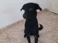 Lorenzo