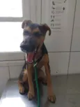 Lilica