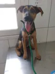Lilica
