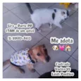 LIRA