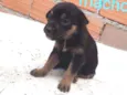 Bebê 