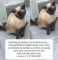 Encontrado